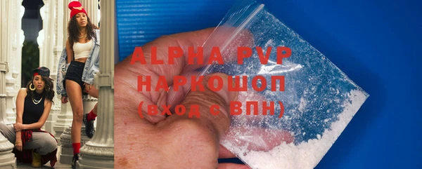 молекула духа Ростов
