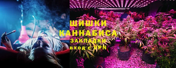 молекула духа Ростов