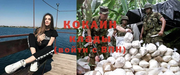 молекула духа Ростов