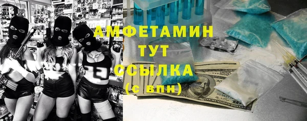 молекула духа Ростов