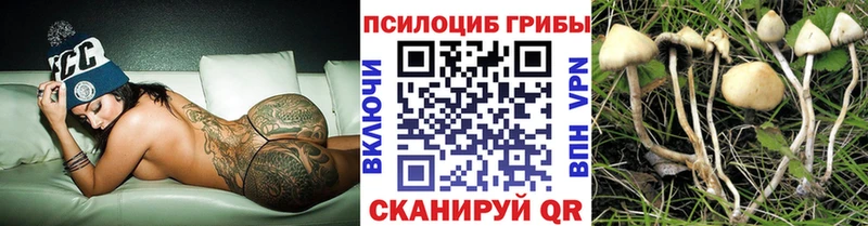 Купить  Кемь  Псилоцибиновые грибы Magic Shrooms 