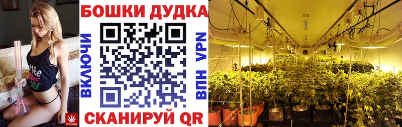 Купить Кемь Шишки марихуана OG Kush